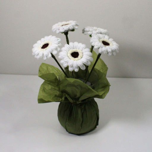 Gerbera - bílá