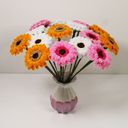 Gerbera - mix barev