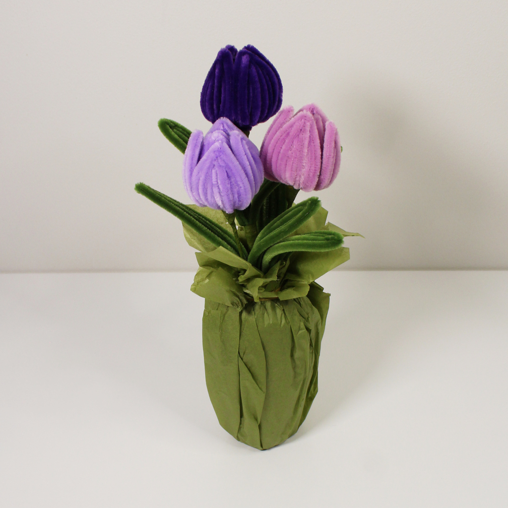 Obrázek produktu tulipan-fialovy-mix